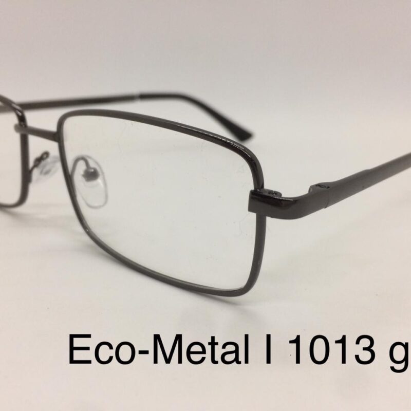 Eco metal i 1013 gun