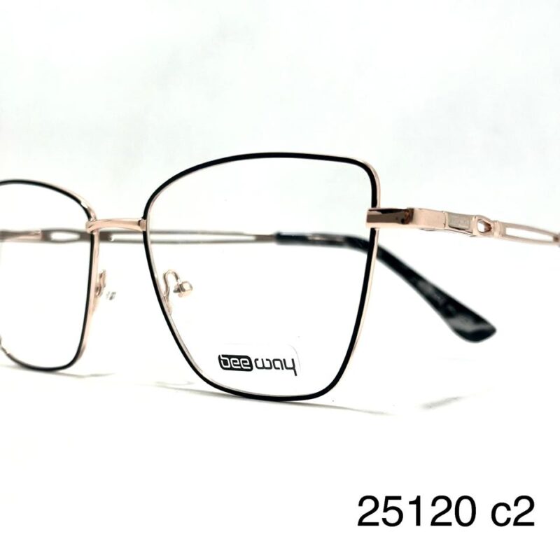 Armazón BeeWay 25120 c2