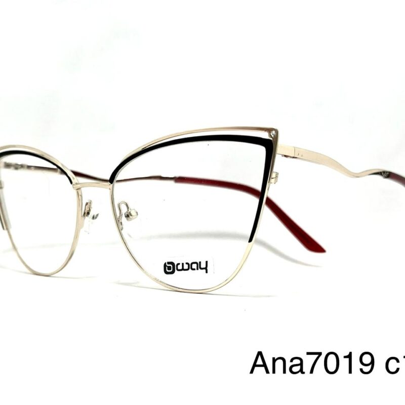 Armazón BeeWay Ana7019 c1