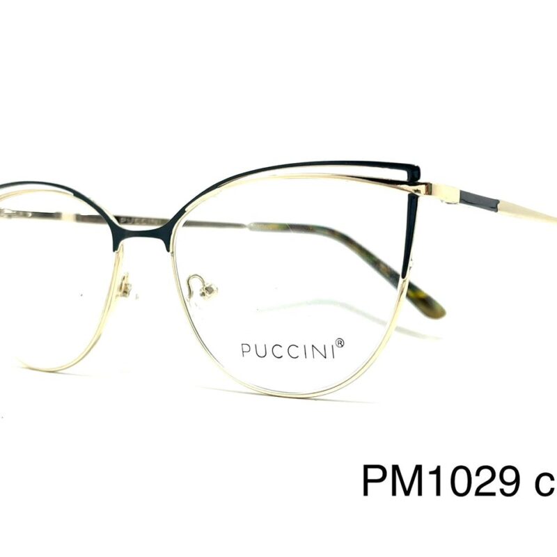 Armazón Premium C PM1029 c6