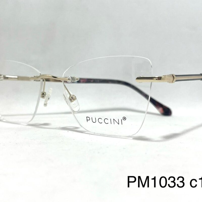 Armazón Premium C PM1033 c1