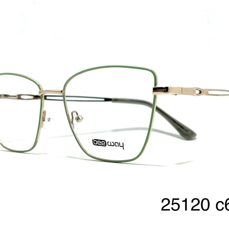 Armazón BeeWay 25120 c6