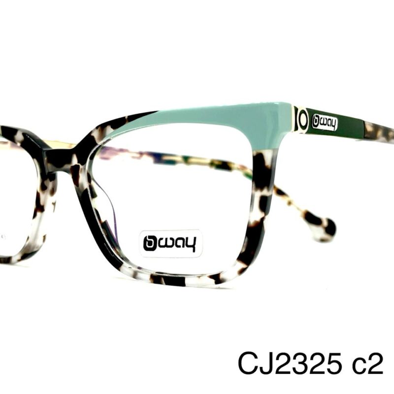 Armazón Premium BeeWay CJ2325 c2