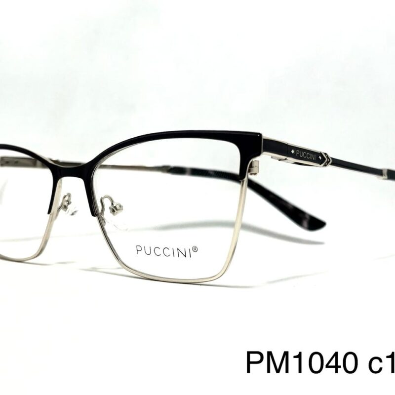 Armazón Premium P PM1040 c10